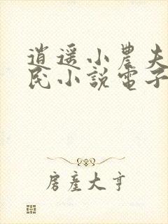 逍遥小农夫小农民小说电子书下载封面