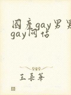 国产gay男男gay网站封面