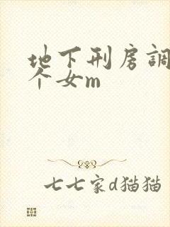 地下刑房调教两个女m