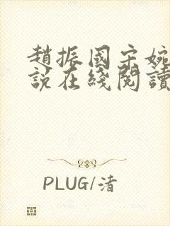 赵振国宋婉清小说在线阅读