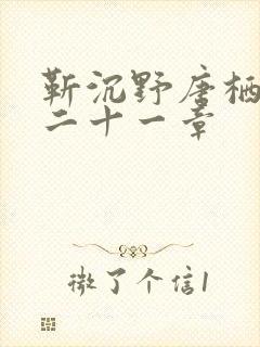 靳沉野唐栖雾第二十一章