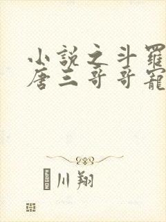 小说之斗罗:被唐三哥哥宠上天