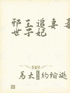 邪王追妻 毒医世子妃