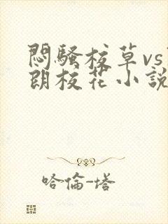 闷骚校草vs开朗校花小说免费阅读