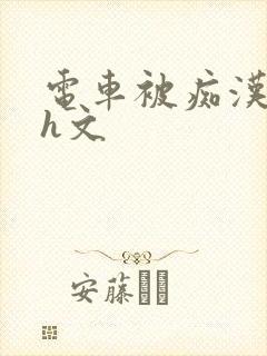 电车被痴汉玩弄h文封面