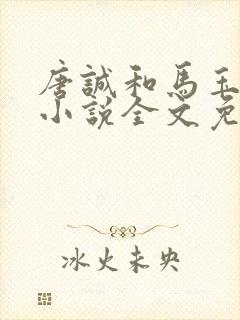 唐诚和马玉婷的小说全文免费