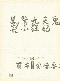 凤惊九天鬼帝溺宠小狂妃