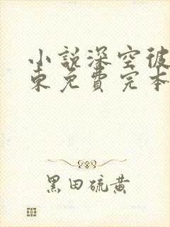 小说深空彼岸辰东免费完本