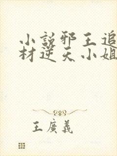 小说邪王追妻废材逆天小姐