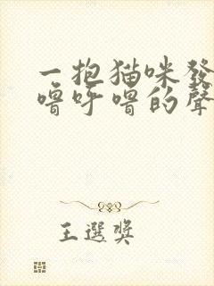 一抱猫咪发出呼噜呼噜的声音