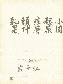 乳头痒起小疙瘩是什么原因