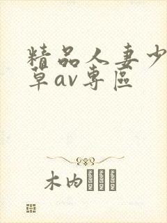 精品人妻少妇嫩草av专区封面