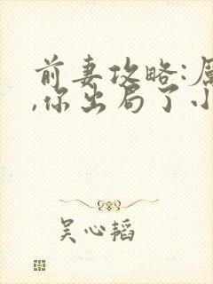 前妻攻略:厉总,你出局了小说完整版本