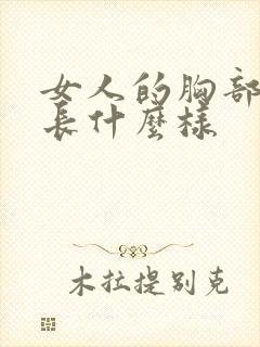 女人的胸部到底长什么样封面