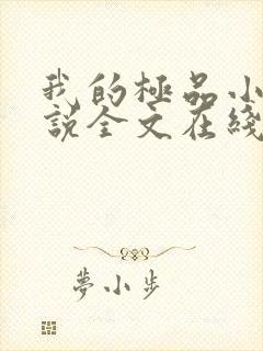 我的极品小姨小说全文在线阅读