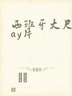 西班牙大尺度gay片