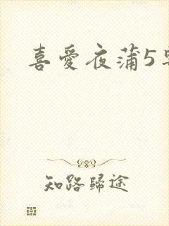 喜爱夜蒲5粤语