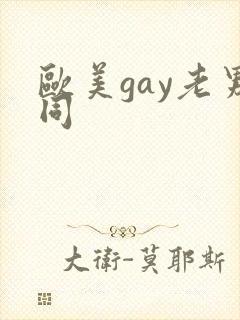 欧美gay老男同