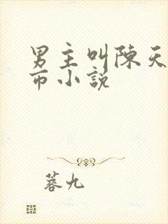 男主叫陈天的都市小说