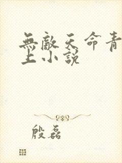 无敌天命青鸾峰上小说
