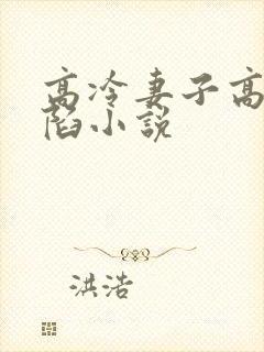 高冷妻子高冷沦陷小说