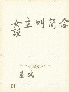 女主叫简念的小说