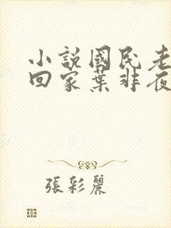 小说国民老公带回家叶非夜