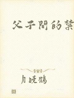 父子间的禁忌封面