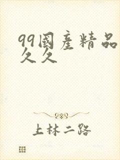 99国产精品久久久