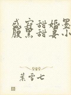 盛宠甜婚墨少的腹黑甜妻小说免费