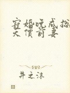 宠婚晚成总裁的天价前妻