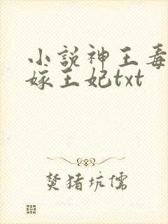 小说神王毒宠二嫁王妃txt