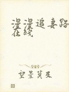 漫漫追妻路小说在线封面