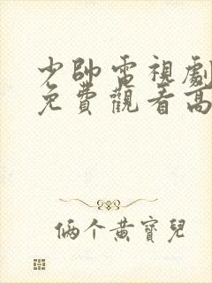 少帅电视剧全集免费观看高清在线观看