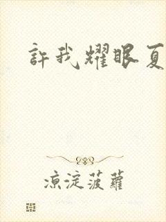 许我耀眼夏晴子