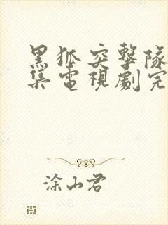 黑狐突击队43集电视剧完整版