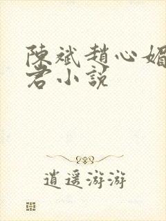 陈斌赵心媚高婉君小说封面