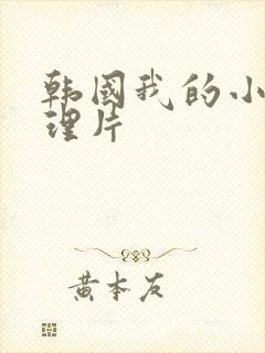 韩国我的小姨伦理片