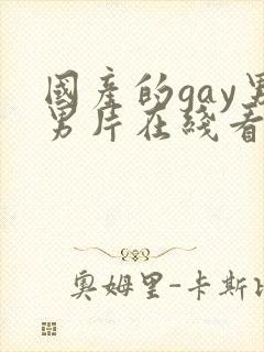 国产的gay男男片在线看