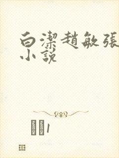 白洁赵敏张倩 小说封面