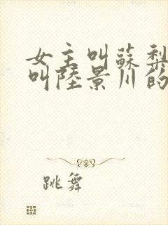 女主叫苏梨男主叫陆景川的小说封面