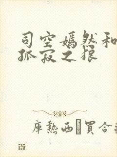 司空嫣然和叶凡孤寂之狼