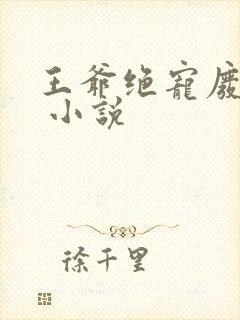 王爷绝宠废柴妃 小说