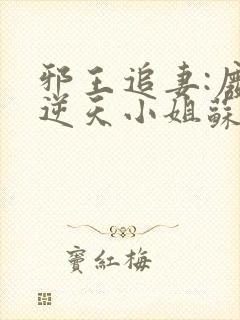 邪王追妻:废材逆天小姐苏落南宫流云