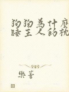 狗狗为什么喜欢睡主人的枕头