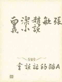 白洁赵敏张倩高义小说