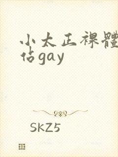 小太正裸体黄网站gay