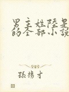 男主姓陆是总裁的全部小说封面