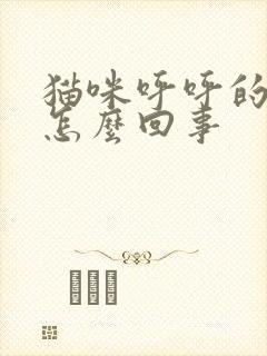 猫咪呼呼的声音怎么回事