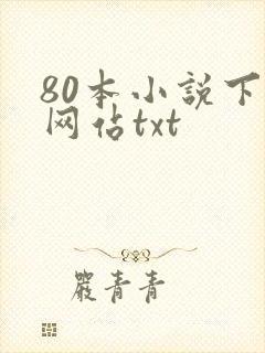 80本小说下载网站txt